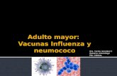 Influenza y neumococ en adultos dra cecilia gonzález