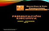 Presentacion ejecutiva grupo peza & peña  consultores 2015