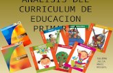 Analisis del Curriculum en la Educación Primaria