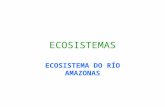 Ecosistema del amazonas