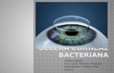ulceras corneales bacterianas