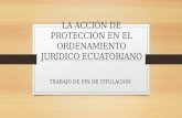 LA ACCIÓN DE PROTECCIÓN EN EL ORDENAMIENTO JURÍDICO ECUATORIANO