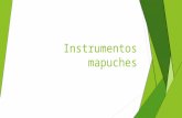 Instrumentos mapuches