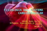 Fisiologia y patologias del sistema cardiovascular