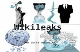 Proyecto personal wikileaks por analucia suarez
