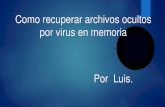 Recuperar archivos ocultos por virus en memorias