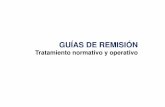Guias de remision_tratamiento_normativo_y_operativo
