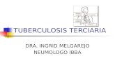Tuberculosis Terciaria