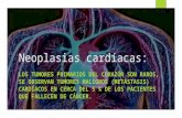 Neoplasias cardíacas ...Robbins
