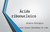 ÁCIDO RIBONUCLEICO