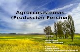 Agroecosistemas - Producción Porcina