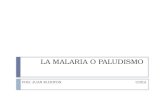 La malaria O paludismo