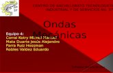 ONDAS MECANICAS CBTis # 37