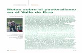 Pastoralismo Valle de Erro Revista Foresta33-2006