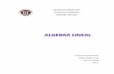 Algebra lineal segunda actividad intensivo saia 2015
