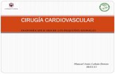 Cirugia cardiovascular veterinaria
