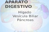 Fisiologia de Ap Digestivo - Higado, Vesicula Biliar y Páncreas