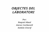 Objectes del laboratori