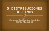 5 Distribuciones de Linux