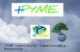 Consultora +Pyme  (Claudia Villegas)