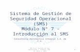 M7 sms sistema de gestion de seguridad operacional r0 junio 1 2013  introducción al sms