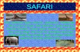Safari llamosas