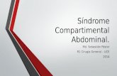Sindrome compartimental abdominal