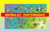animales  vertebrados