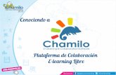 Chamilo User Day en Venezuela