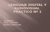 Lenguaje Digital Y Audiovisual  Practico N 1