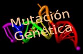 Mutación genética