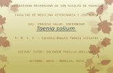 Taenia Solium - Etiología