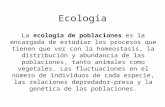 Ecologia 3º medio 2013