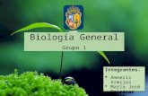 Los Procariontes - Biología General
