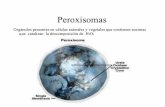 Peroxisoma-Fabian Mota