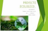proyecto ecologico  geografia