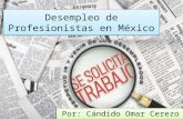 Profesionistas Desempleados en México