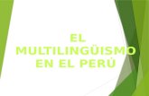 Diversidad lingüística en el perú