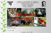 Cuadro de 10 especies en extinción