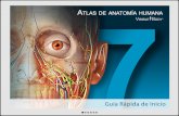Atlas de anatomía humana para teléfono Android