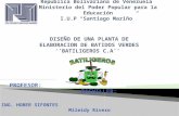 Batiligeros C.A. Plantas Industriales
