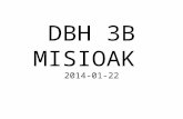 DBH 3B 2014-01-22