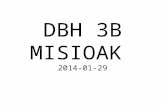 DBH3B 2014-01-29