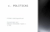 Fichas bibliograficas c.politicas