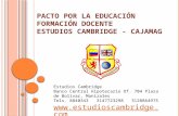 Pacto por la educación estudios cambridge cajamag 2015 profesores  primaria