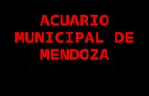Acuario Municipal de Mendoza