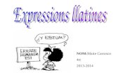 Expressions llatines
