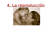 La reproducion humana