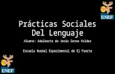 Prácticas sociales del lenguaje