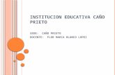 Presentacion  institucion educativa caño prieto 123